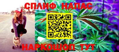 метадон Гай