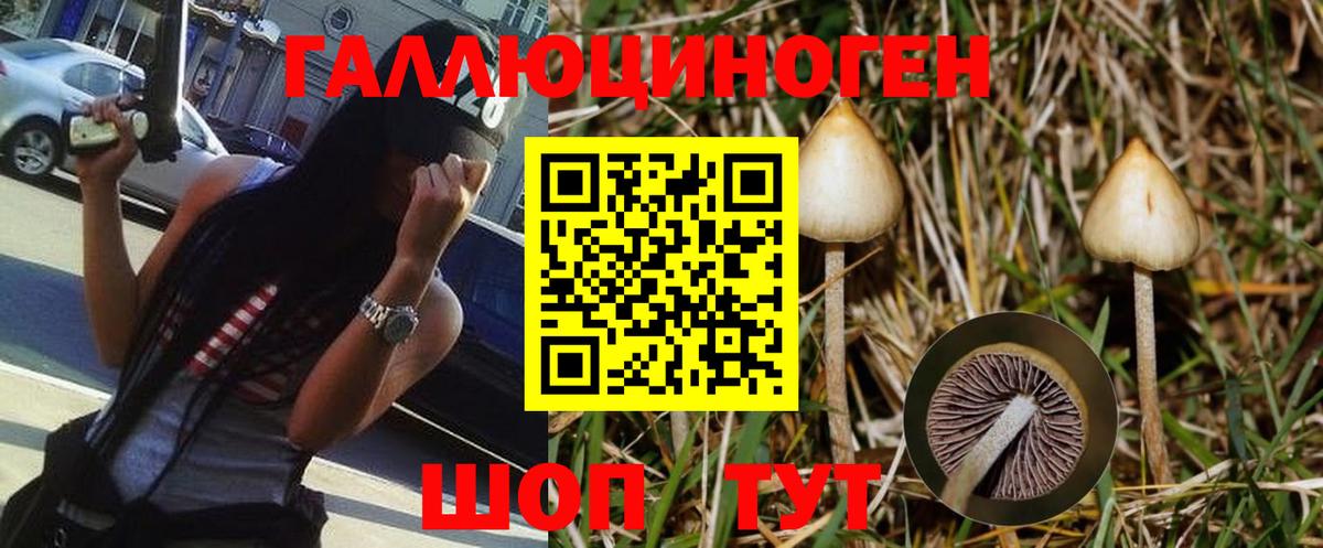 Муром  Псилоцибиновые грибы мицелий  Вход с VPN 